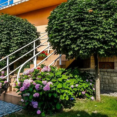 Beeapartments Zywiecka 49 Neu Sandez